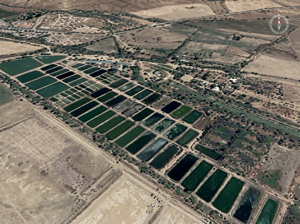 Estación Piscícola de Repelón: Centro de investigación y producción acuícola fundamental para la repoblación de especies nativas y el desarrollo de la acuicultura sostenible en la región.